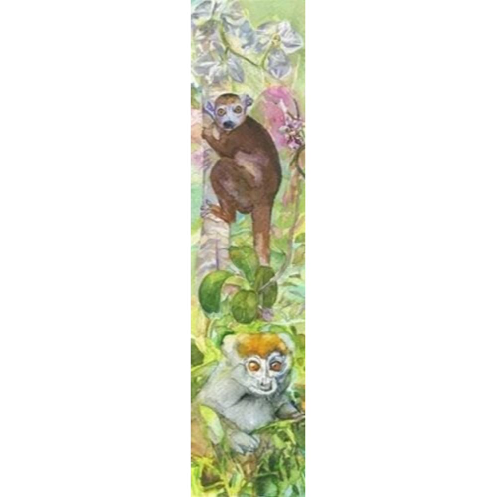 Lemur Conservation Foundation Bookmark Joe Santore Lemur Bookmarks 2013 (4 pack) - Picture 3 of 12